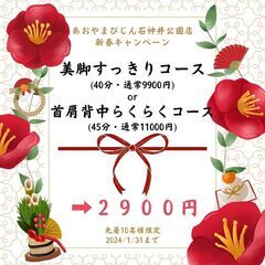 《新春キャンペーン》経絡リンパトリートメント 2900円(通常約...