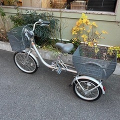 値下げ！程度良好！ 大人用三輪車 TAKEDA NATURAL FLOW 20インチ