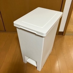 大きいゴミ箱　とても綺麗です　イオンのトップバリュー