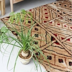 ジャーナルスタンダードファニチャー　BONI RUG 120x160