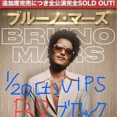 VIPS席 【B8ブロック】 ブルーノマーズ　1/20(土) チケット