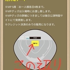 VIPS席 【B8ブロック】 ブルーノマーズ 1/20(土) チケット