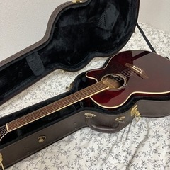 バンドメンバー募集します🎸