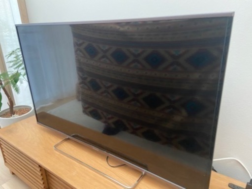 テレビ パナソニック ビエラ ジャンク