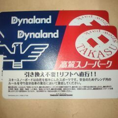 リフト券　高鷲スノーパーク&ダイナランド共通　２枚