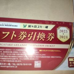 リフト券　鷲ヶ岳スキー場　1枚