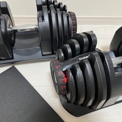 【取引先決定】ダンベル 38kg×2セット