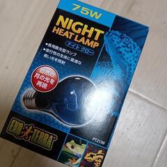 爬虫類 ナイトグロー75W