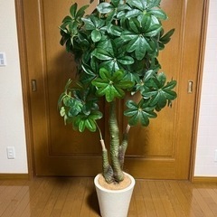 大きな観葉植物（造花）鉢セット②