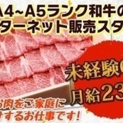 【ミドル・40代・50代活躍中】【未経験から安定の正社員】夏休み...