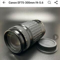 Canon純正 ZOOM LENS EF75-300mm
f/4...