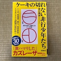 【宮口幸治】ケーキの切れない非行少年たち