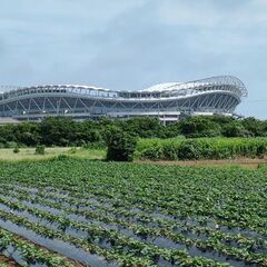 アントラーズの魅力を知ろう！☆☆