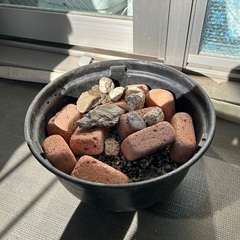 メダカ　ビオトープ　鉢と砂利、石