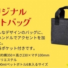 CoCo壱　ココイチ　2024 福袋　ミニトートバッグ　未使用