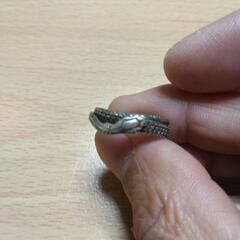 蛇の指輪