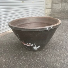大きな鉢 
