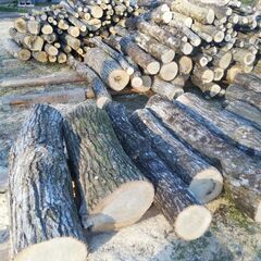 薪ストーブやキャンプ用薪の原木、シイタケ用原木などに