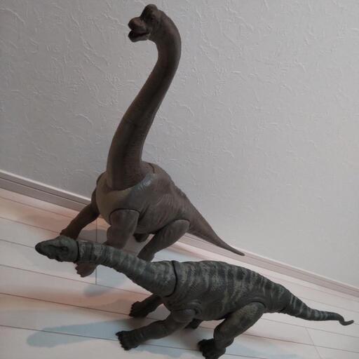 マテル ブラキオ アパト