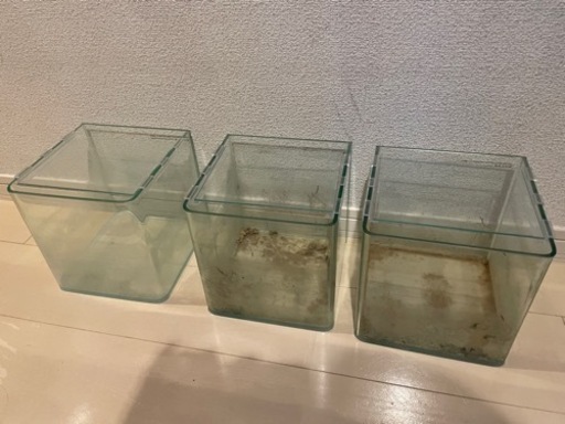 水槽\u0026飼育セット