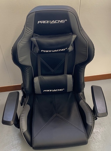 【直接引き取りのみ】ゲーミングチェア 座椅子タイプ PRORACING 103IAA R5-0154