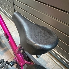 【お譲り先が決まりました】ストライダー14x フューシャピンク-ZEGNA ゼニア EZ0093-D/S 28N 54 サングラス