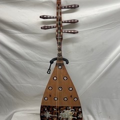 【‼️希少品‼️】🌟螺鈿紫檀五弦琵琶🌟ハードケース付き🌟