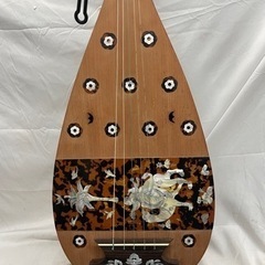 【‼️希少品‼️】🌟螺鈿紫檀五弦琵琶🌟ハードケース付き🌟