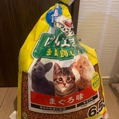 開封した猫餌(無料)
