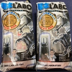 新品　標本LABO 2個
