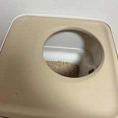 上から入るタイプの猫トイレ　中古　猫砂一つ