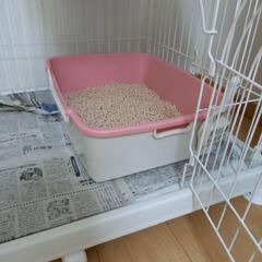 キャットケージ4点セット　猫ケージ　【お値引き交渉承ります】