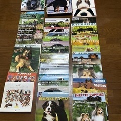 犬種別カレンダー　（過去物79冊）