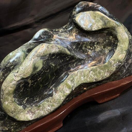 骨董品 錦鶏鳥・銀鶏鳥(剥製)