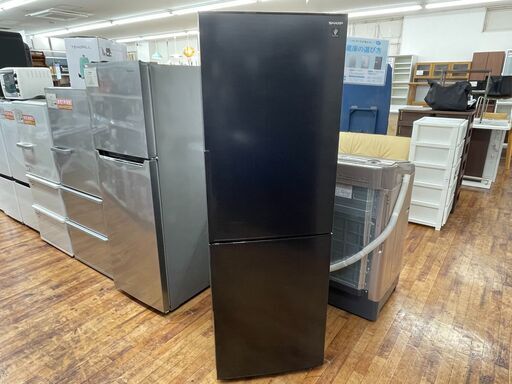 SHARP 　SJ-AK31F-B　2ドア冷蔵庫のご紹介！【トレファク入間24-01】