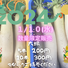 1/10（水）規格外(群馬県伊勢崎市産)　採れたて青首大根　数量...