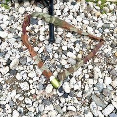 【TREK/トレック】クロスバイク FX1 サイズS 3×7段変速 SHIMANO 15IN/45cm 走行確認 イエロー ★カバー等フルセット