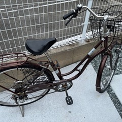 自転車　決まりました。