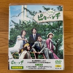 嵐 ピカンチ DVD