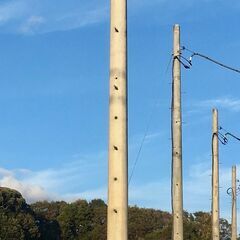 【鉾田市】電柱売ります　コンクリート製　高さ約11m 電信柱