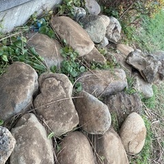 庭石、岩　無料で差し上げます。