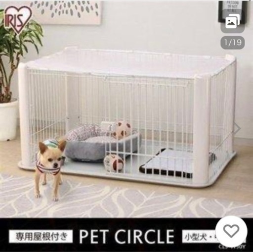 アイリスオーヤマ(ゲージ)