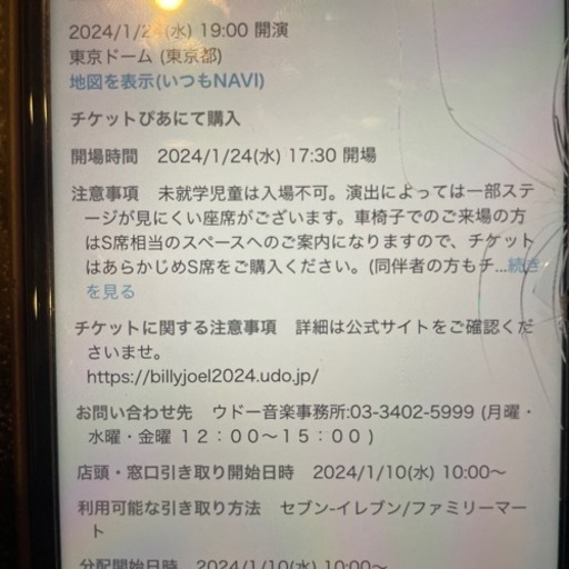 1/24 ビリージョエルチケットS席２枚　東京ドーム