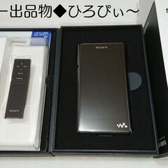 【2年保証付/4点set】WALKMAN NW-WM1A + I...