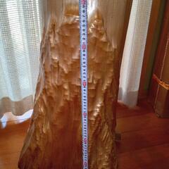 切り株　天然杢 切り株 天然杢