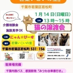 1月14日(日)🌸にゃん☆ぴーす猫の譲渡会🌸『若葉いこいの里』千...