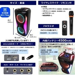 CICONIA LEDパーティースピーカー　CTHF-2311F