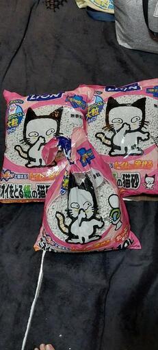 猫砂