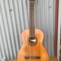 シナノギターNO35
