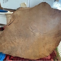 【お話し中】大きな丸太の板　木材　高知県の県木ヤナセスギ